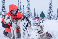 Fairbanks Dog Sledding Adventure thumbnail 4
