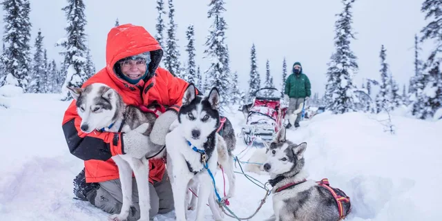 Fairbanks Dog Sledding Adventure - Image 4