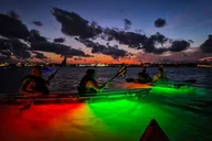 Austin Kayak Tour on the Lower Colorado River thumbnail 5