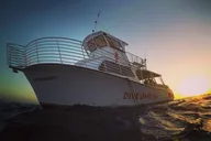 Oahu Night Dive for Certified Divers thumbnail 6
