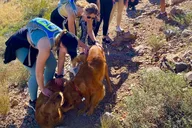 Scottsdale Bachelorette Party Guided Hike thumbnail 6