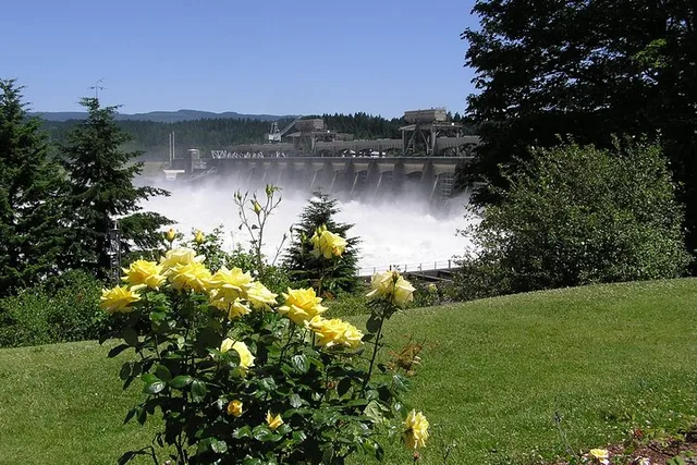 Portland Vistas, Falls & Gardens Tour - Image 4