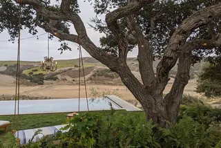 Santa Ynez Valley Wine Tasting Tour