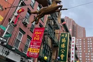 New York Chinatown Walking Food Tour thumbnail 5