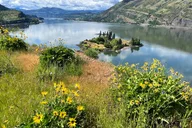 Hood River E-Bike Rental thumbnail 4