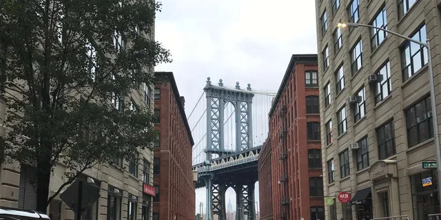 New York City Contrasts Tour - Image 5
