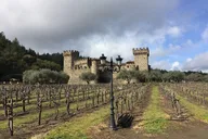 Napa Wine Tour in Private Sedan 6 hr thumbnail 5