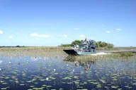 Miami Walking Tour and Everglades Airboat Ride thumbnail 3