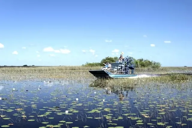 Miami Walking Tour and Everglades Airboat Ride - Image 3