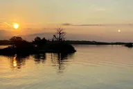 Crystal River Airboat Adventure thumbnail 4