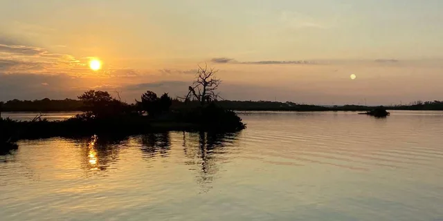 Crystal River Airboat Adventure - Image 4