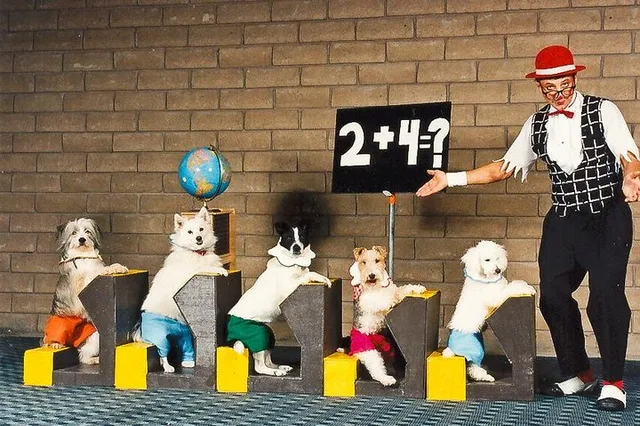 Las Vegas Comedy Pet Theater - Image 3