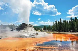 Seattle Yellowstone and Grand Teton 5-Day Tour