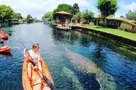 Crystal River Kayak Rental thumbnail 1