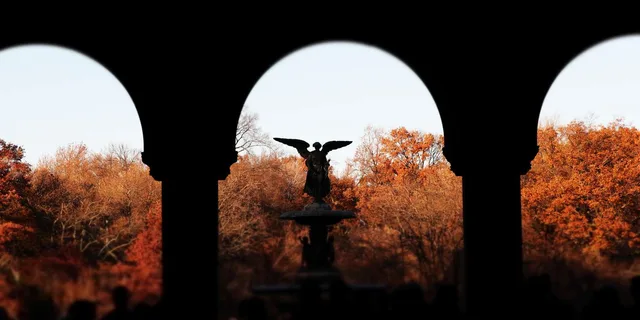 New York City Central Park Pedicab Tour - Image 2