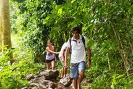 Oahu Hiking Experience thumbnail 3