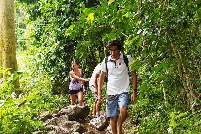 Oahu Hiking Experience - Image 3