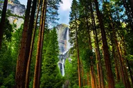 Yosemite Valley Private Hiking Tour thumbnail 1