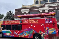 New Orleans City Sightseeing Hop-On Hop-Off Bus Tour thumbnail 1