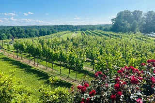 Dahlonega Wine Tour from Atlanta