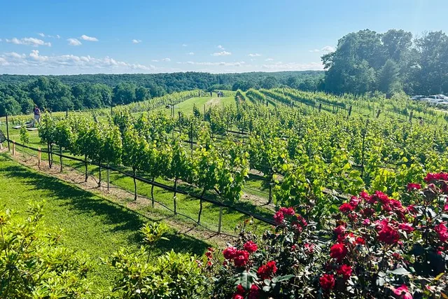 Dahlonega Wine Tour from Atlanta - Image 1