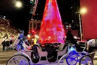 Denver Holiday Lights and History Walking Tour thumbnail 5