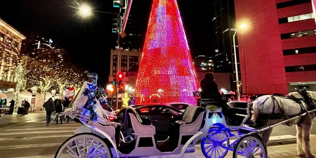 Denver Holiday Lights and History Walking Tour - Image 5