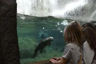 Bend High Desert Museum Entry Ticket thumbnail 2
