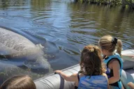 Cocoa Beach Dolphin and Manatee Eco Boat Tour thumbnail 6