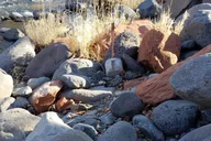 Sedona Oak Creek Canyon Private Tour 2 hr thumbnail 3