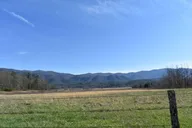 Pigeon Forge Cades Cove Sightseeing Bus Tour thumbnail 2