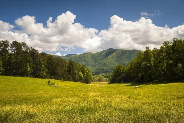 Pigeon Forge Smoky Mountains History Tour 6 hr - Image 2