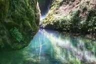 Portland Hike and Bike Tour to Columbia River Gorge Waterfalls thumbnail 5