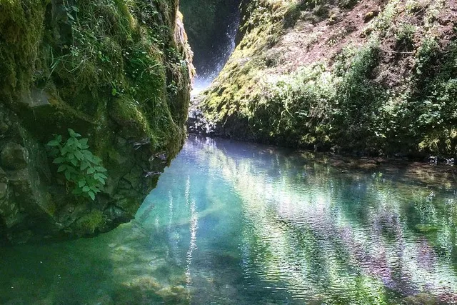 Portland Hike and Bike Tour to Columbia River Gorge Waterfalls - Image 5