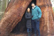 Yosemite Private Tour: Valley, Glacier Point & Sequoias thumbnail 5