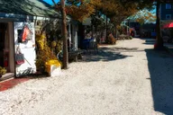 Nantucket Self-Guided Audio Tour thumbnail 5
