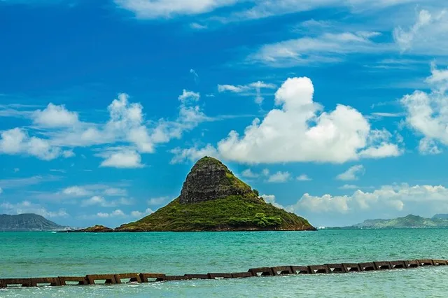 Oahu North Shore Circle Island Tour - Image 1