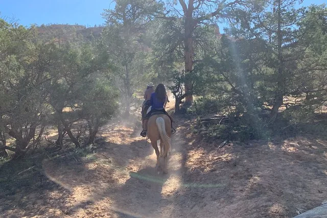 Utah Horseback Ride Half Day - Image 4