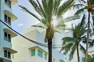 Miami Private Transfer to Port of Miami thumbnail 5