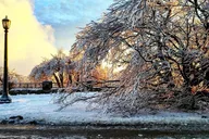 Niagara Falls Private Day Tour from Buffalo thumbnail 5