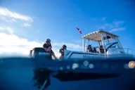 Oahu Shark Dive thumbnail 3