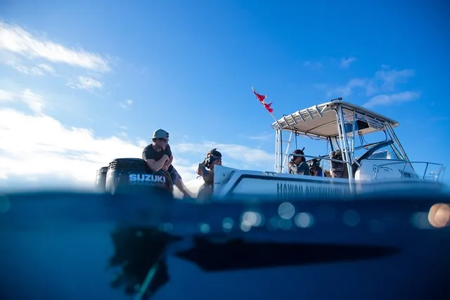 Oahu Shark Dive - Image 3