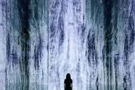 New York Immersive Media Art Exhibition thumbnail 2
