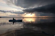 Brevard County Kayak Tour with Manatee & Dolphin Sightings thumbnail 6