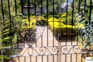 Charleston Black History Walking Tour thumbnail 5