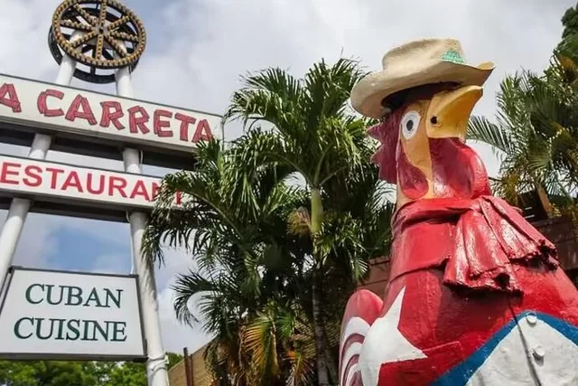 Miami Walking Tour and Everglades Airboat Ride - Image 5