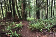 Seattle Mountain Biking Adventure thumbnail 2