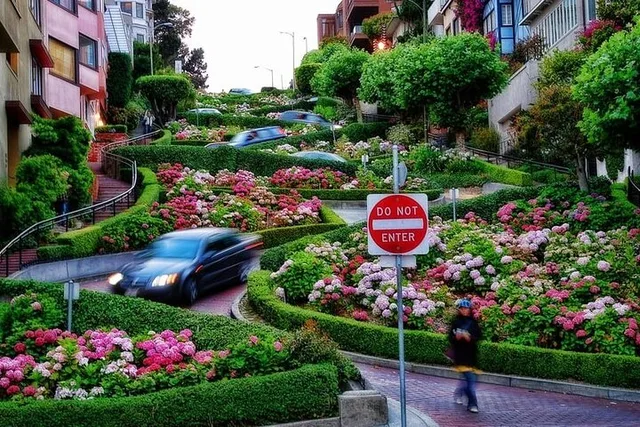 San Francisco Highlights & Stanford Shopping Tour - Image 1