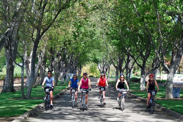 Santa Ynez Wine Country Bike Tour with Lunch - Image 6