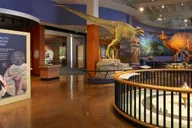 San Diego Natural History Museum Night Entry thumbnail 6